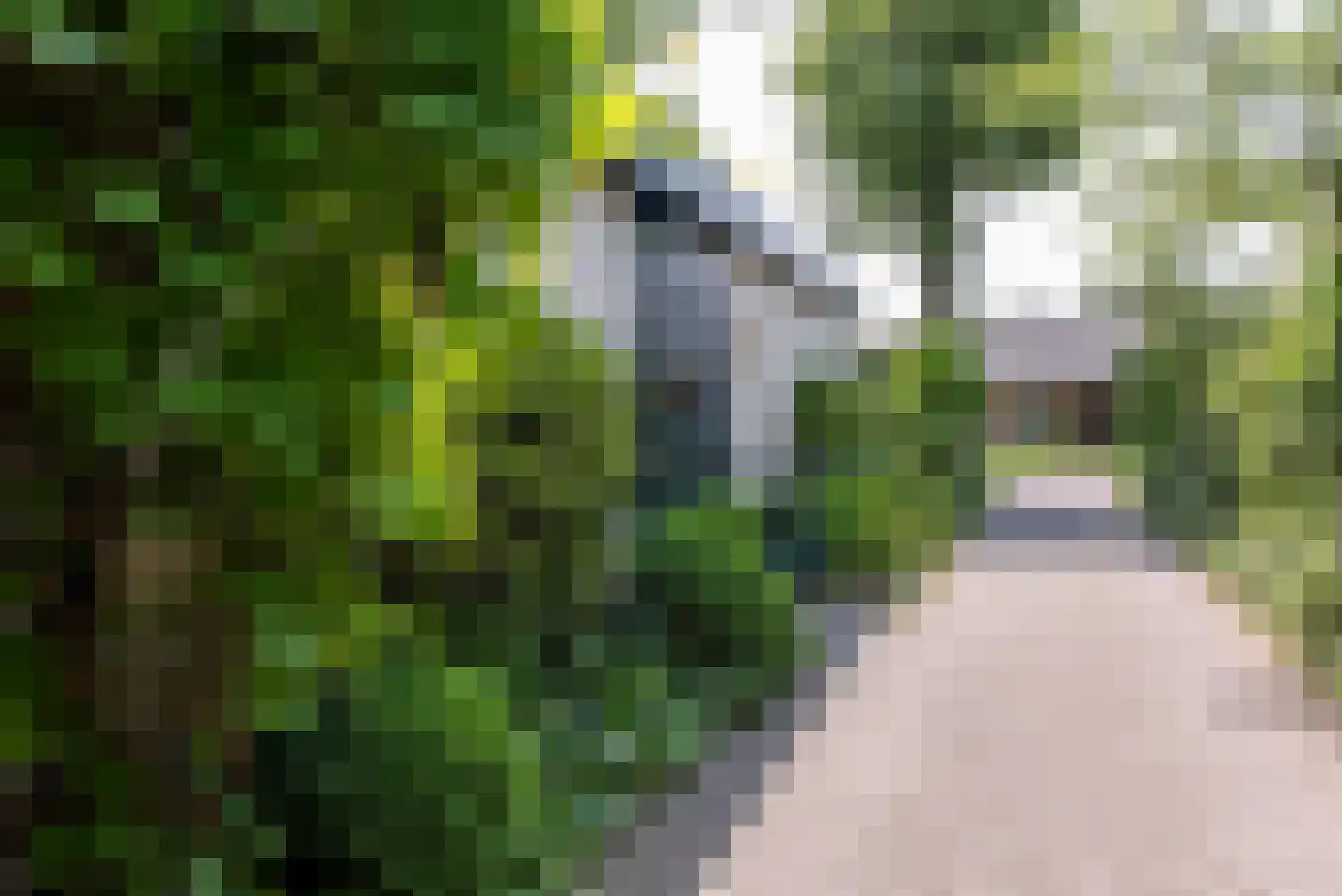 Baron van der Heijdenln 15 Wichmond thumbnail 7