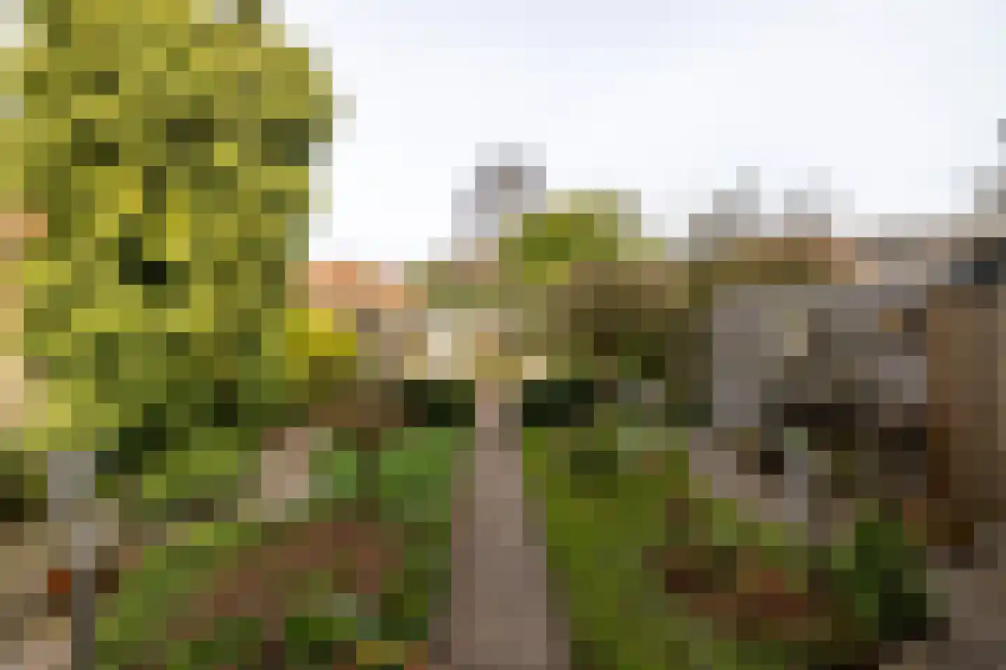 Baron van Dieststraat 5 Doetinchem thumbnail 20