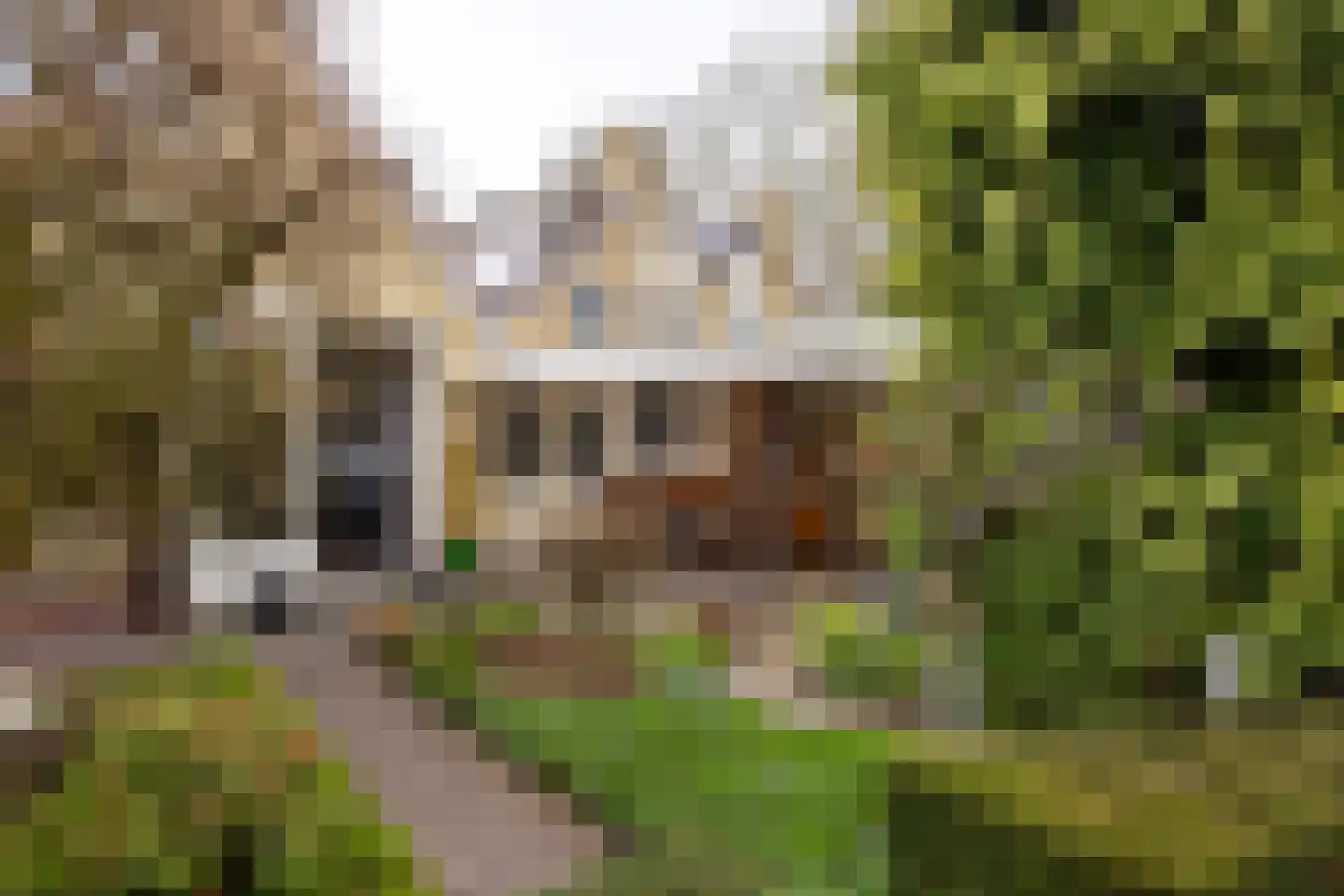 Baron van Dieststraat 5 Doetinchem thumbnail 23