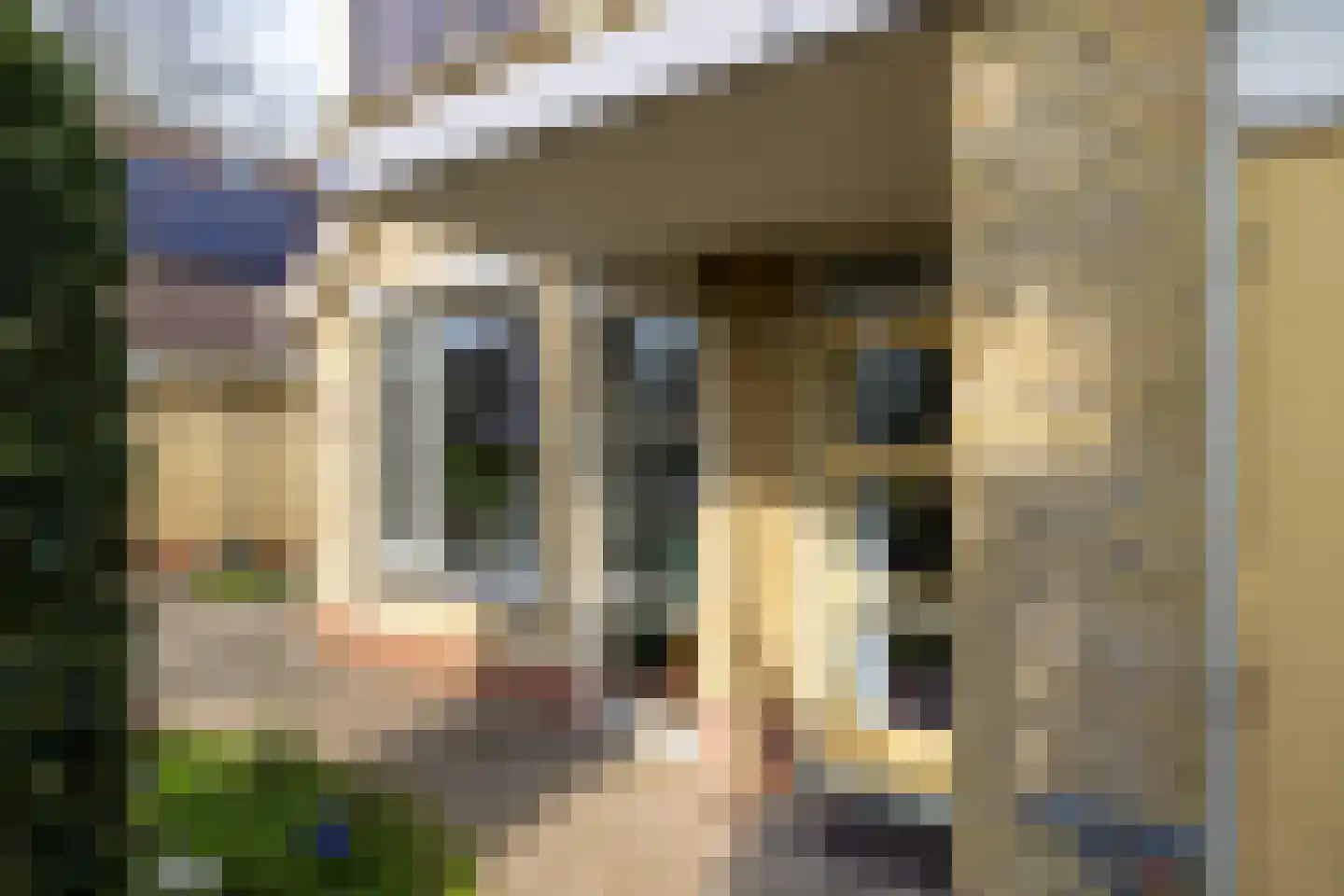 Baron van Dieststraat 5 Doetinchem thumbnail 25