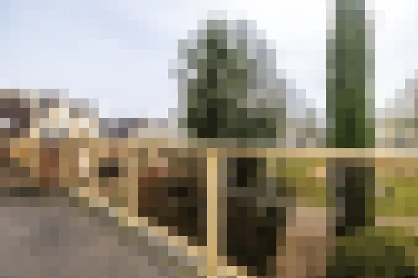Baron van Dieststraat 5 Doetinchem thumbnail 32