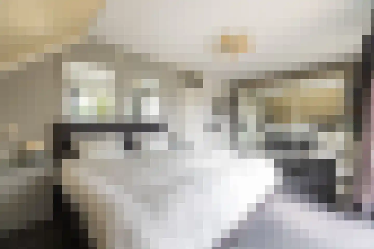 Baron van Dieststraat 5 Doetinchem thumbnail 34