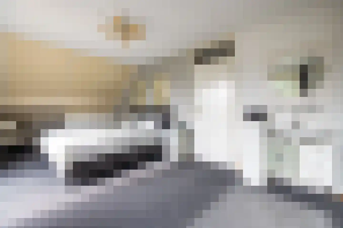 Baron van Dieststraat 5 Doetinchem thumbnail 35