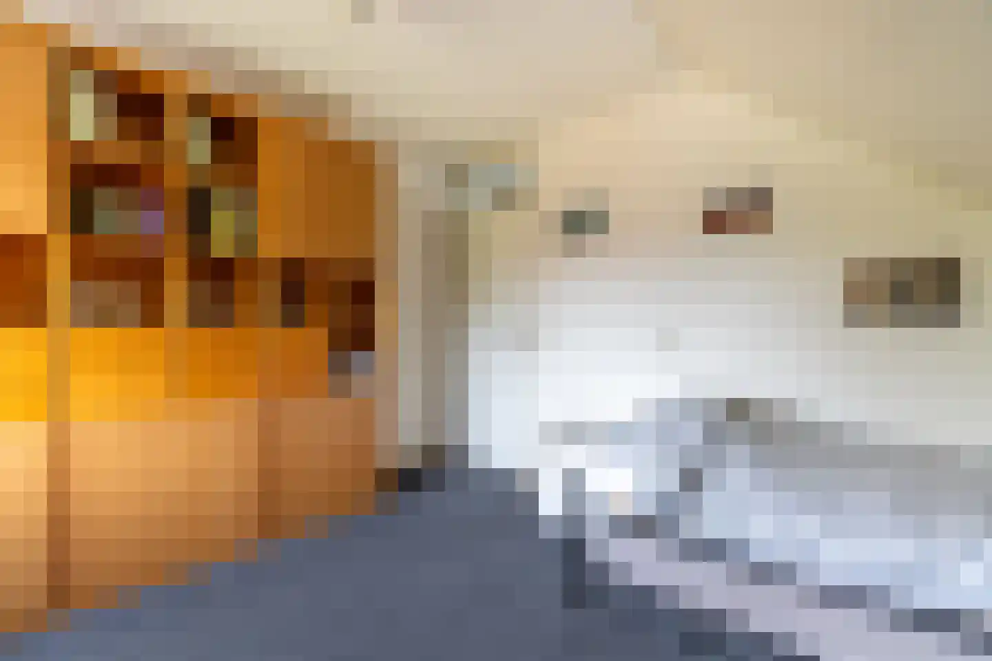 Baron van Dieststraat 5 Doetinchem thumbnail 38