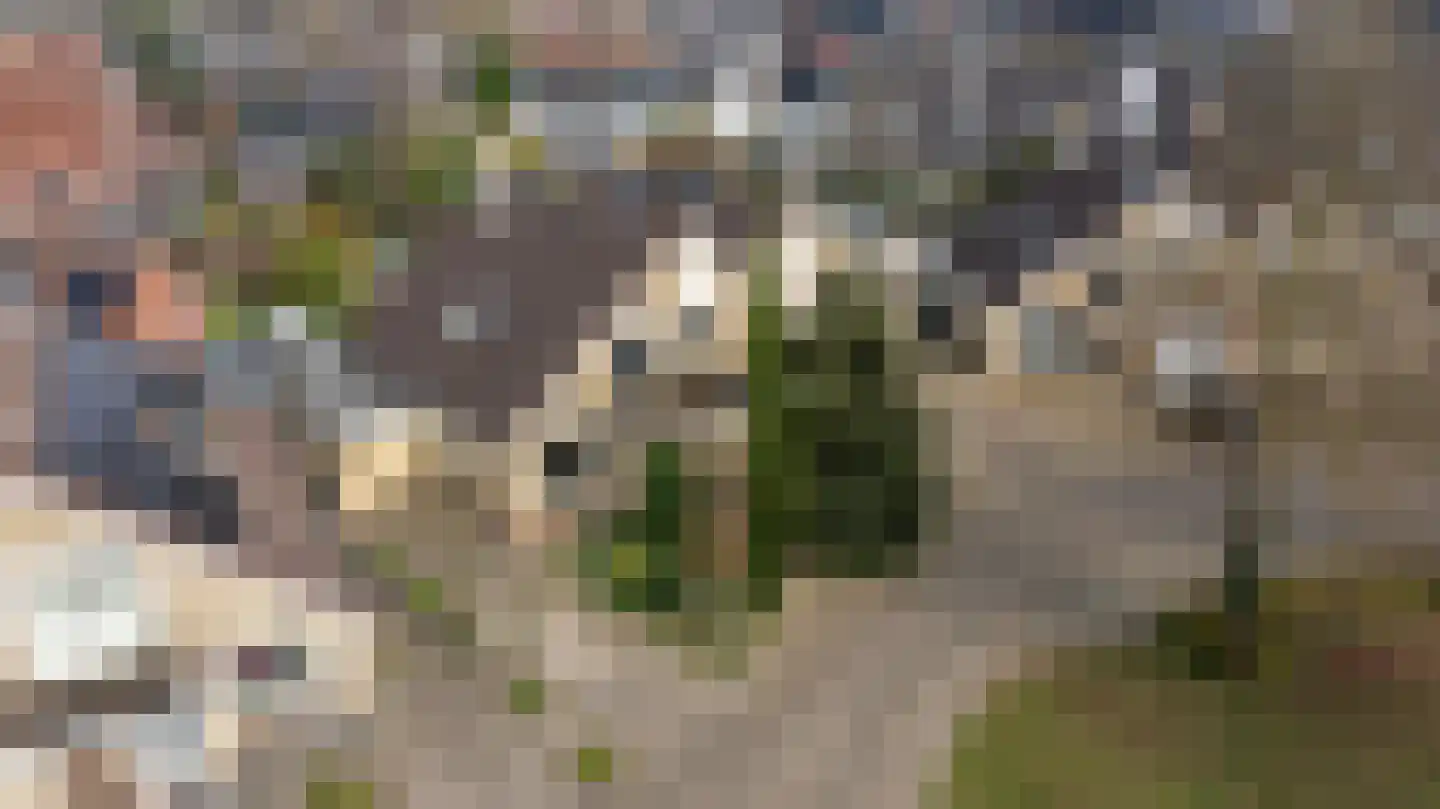 Baron van Dieststraat 5 Doetinchem thumbnail 55