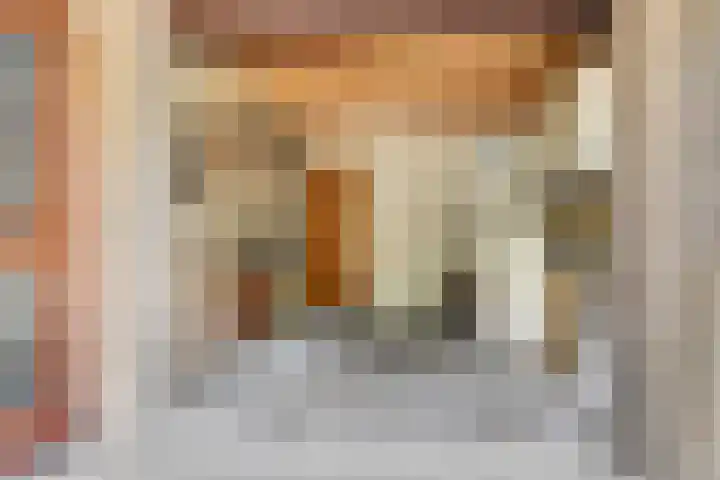 Baron van Erplaan 30 Baarlo thumbnail 33