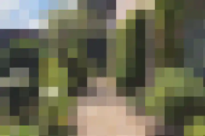 Baron van Erplaan 30 Baarlo thumbnail 34