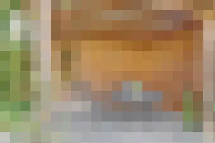 Baron van Erplaan 30 Baarlo thumbnail 37