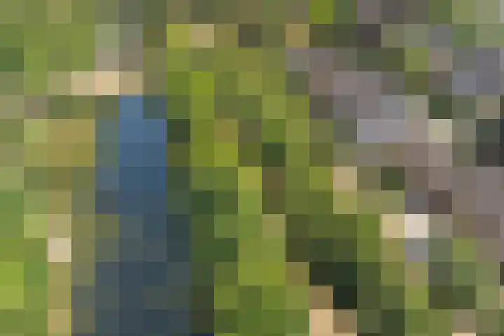 Baron van Erplaan 30 Baarlo thumbnail 4