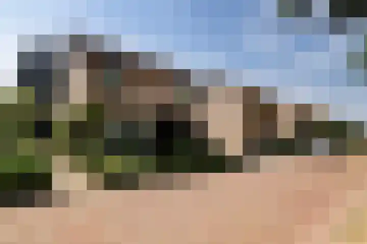 Baron van Erplaan 30 Baarlo thumbnail 40