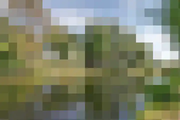 Baron van Erplaan 30 Baarlo thumbnail 42