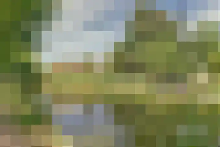 Baron van Erplaan 30 Baarlo thumbnail 43