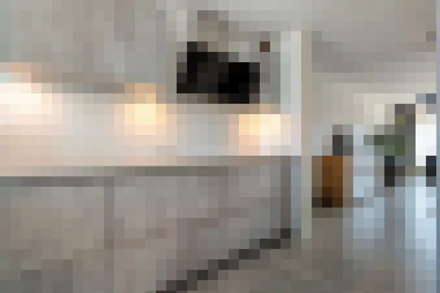 Baron van Fridaghstraat 133 Ommen thumbnail 12