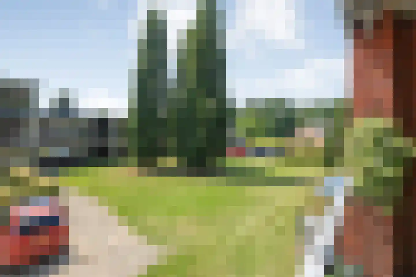Baron van Fridaghstraat 133 Ommen thumbnail 20
