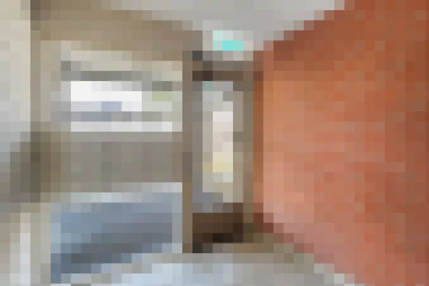 Baron van Fridaghstraat 133 Ommen thumbnail 38