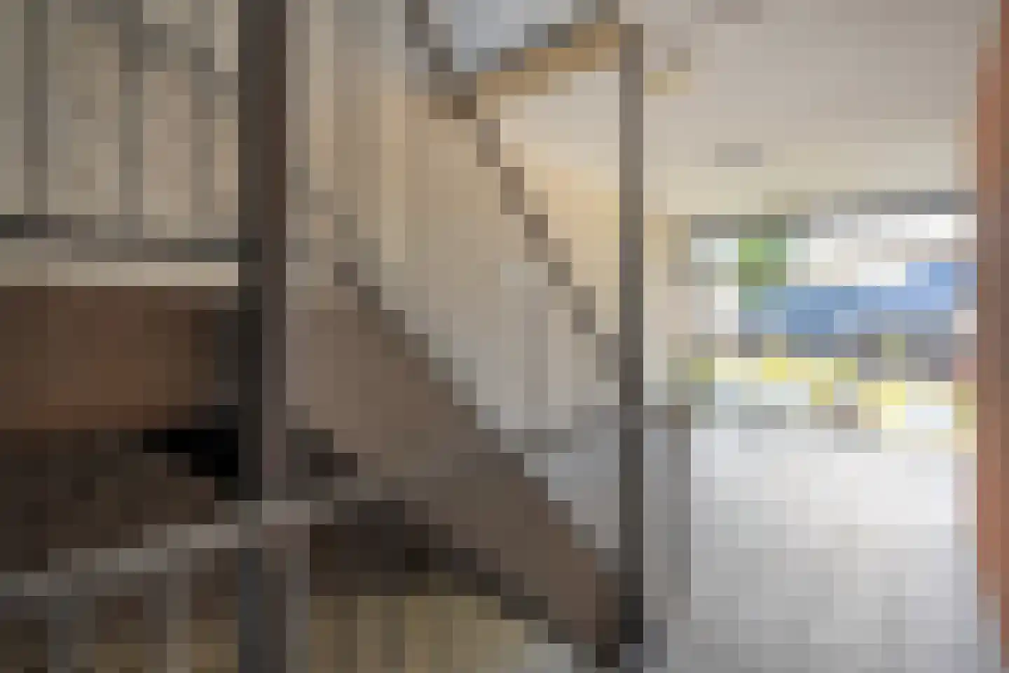 Baron van Fridaghstraat 133 Ommen thumbnail 41
