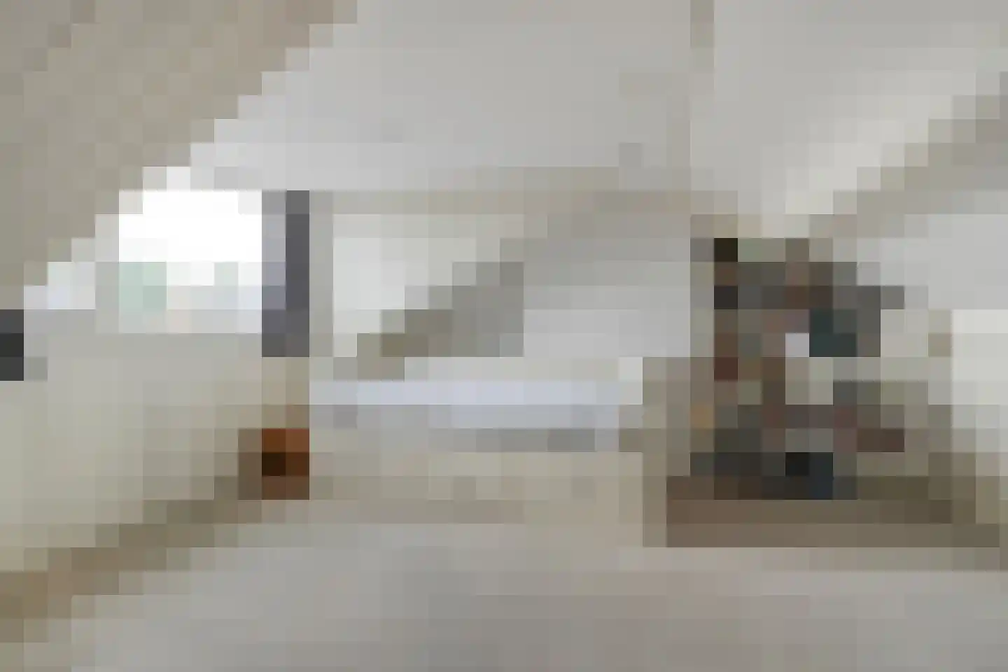 Baron van Fridaghstraat 48 Ommen thumbnail 31