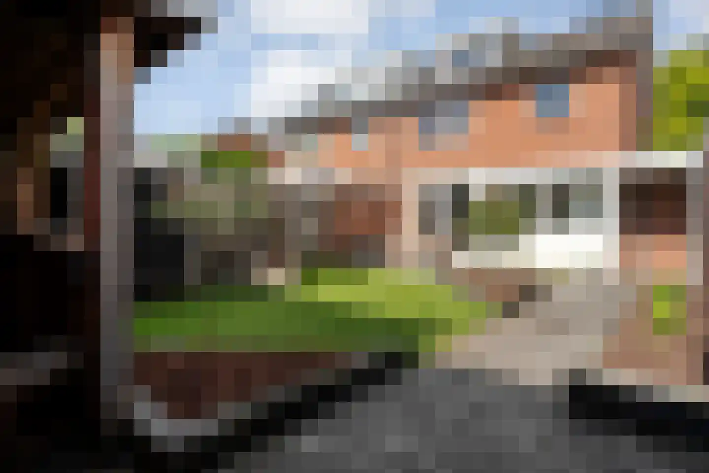 Baron van Fridaghstraat 48 Ommen thumbnail 39