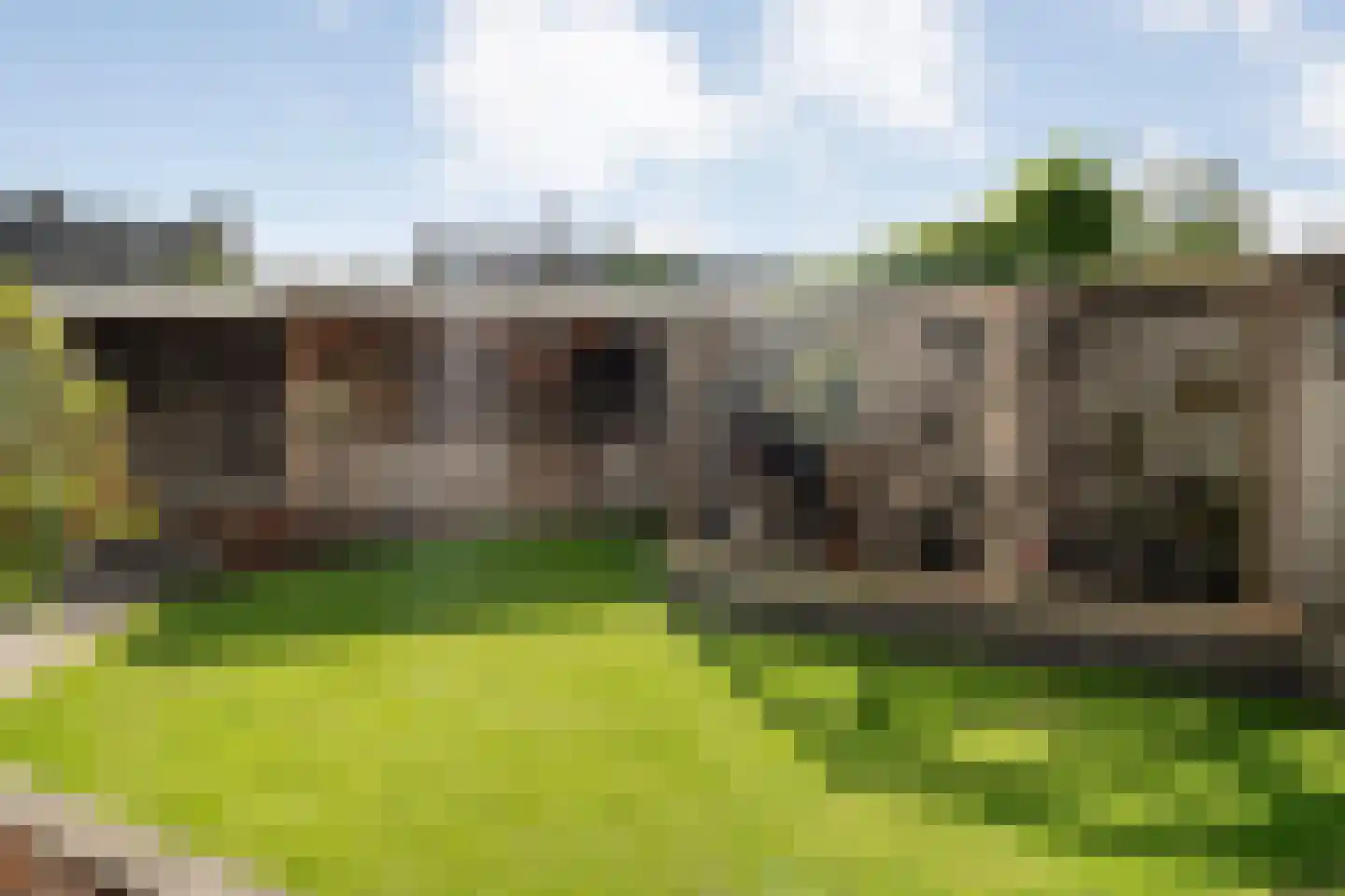 Baron van Fridaghstraat 48 Ommen thumbnail 41