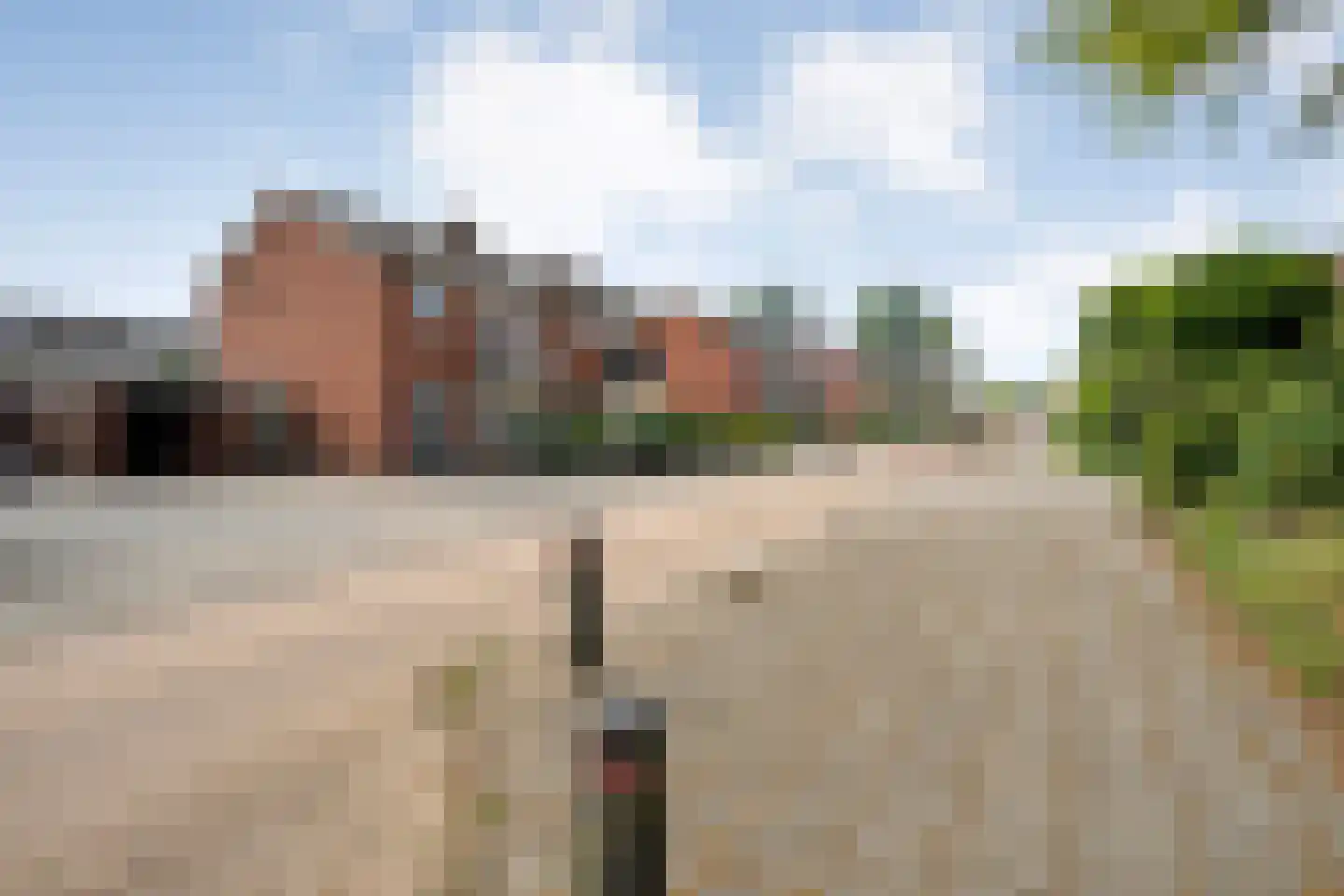 Baron van Fridaghstraat 48 Ommen thumbnail 44