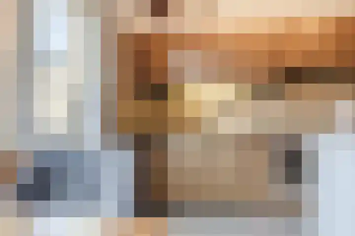 Baron van Gendtlaan 13 Gendt thumbnail 15