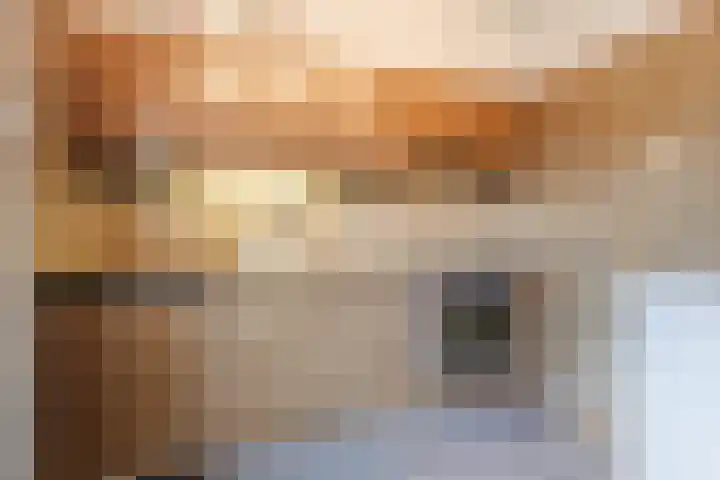 Baron van Gendtlaan 13 Gendt thumbnail 17