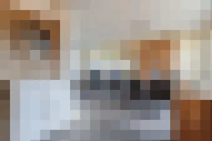 Baron van Gendtlaan 13 Gendt thumbnail 18