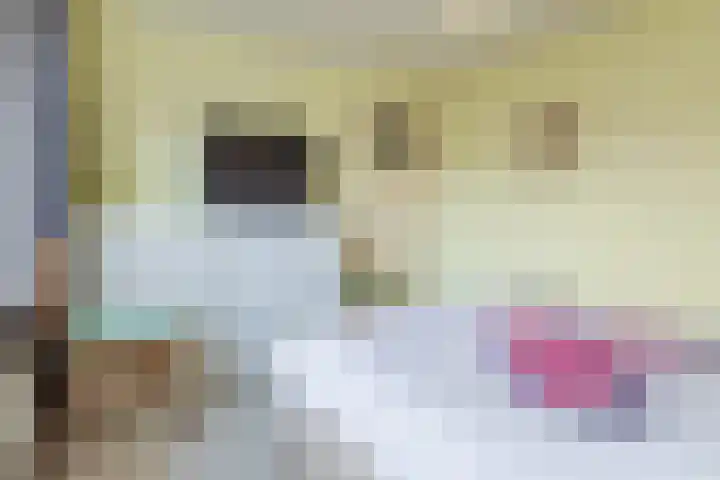Baron van Gendtlaan 13 Gendt thumbnail 22