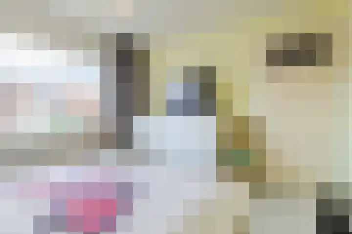 Baron van Gendtlaan 13 Gendt thumbnail 23