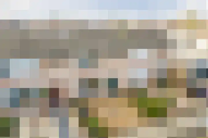 Baron van Gendtlaan 13 Gendt thumbnail 48