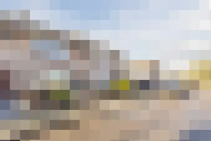 Baron van Gendtlaan 13 Gendt thumbnail 50