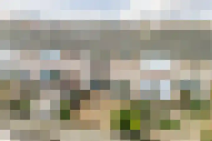 Baron van Gendtlaan 13 Gendt thumbnail 51