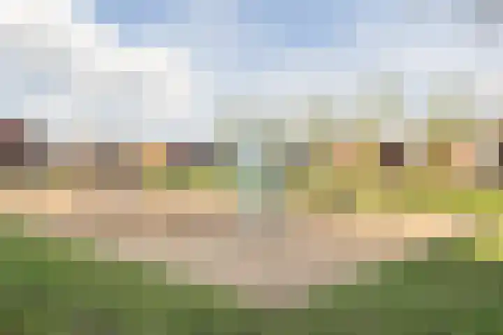 Baron van Gendtlaan 13 Gendt thumbnail 52