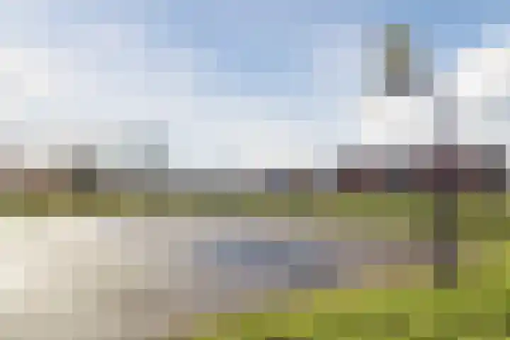 Baron van Gendtlaan 13 Gendt thumbnail 53