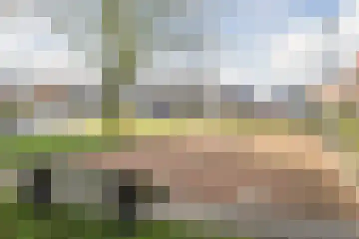 Baron van Gendtlaan 13 Gendt thumbnail 54