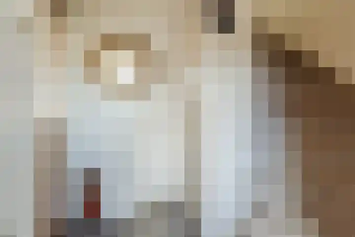 Baron van Gendtlaan 13 Gendt thumbnail 7