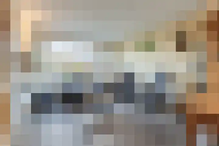 Baron van Gendtlaan 13 Gendt thumbnail 9