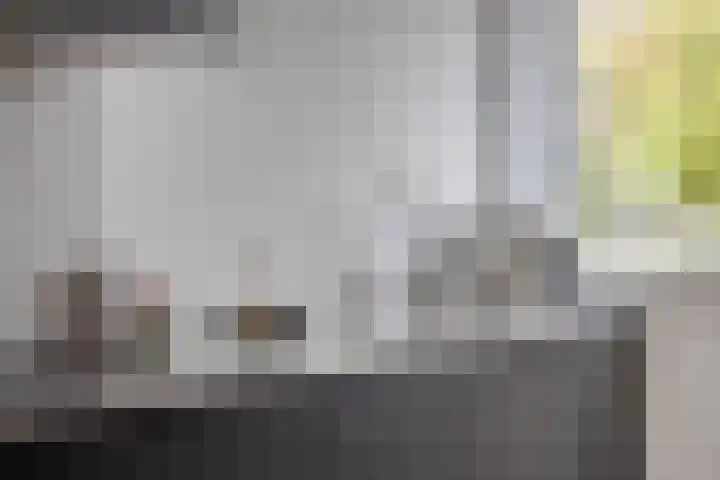 Baron van Hallstraat 20 Oosterhout thumbnail 8