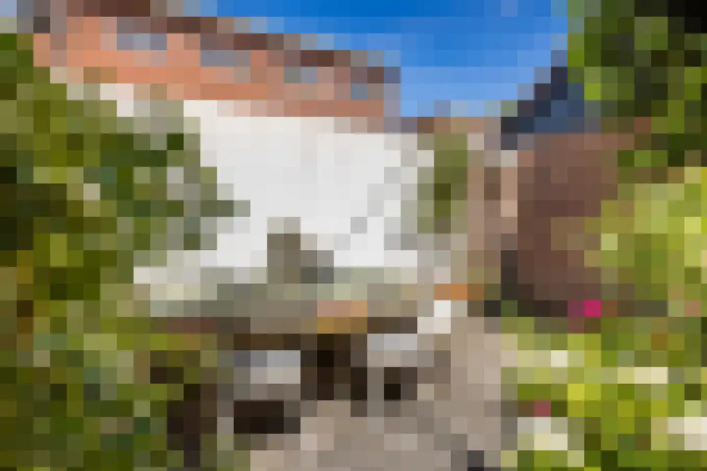 Baron van Heemstrastraat 9 Utrecht thumbnail 23