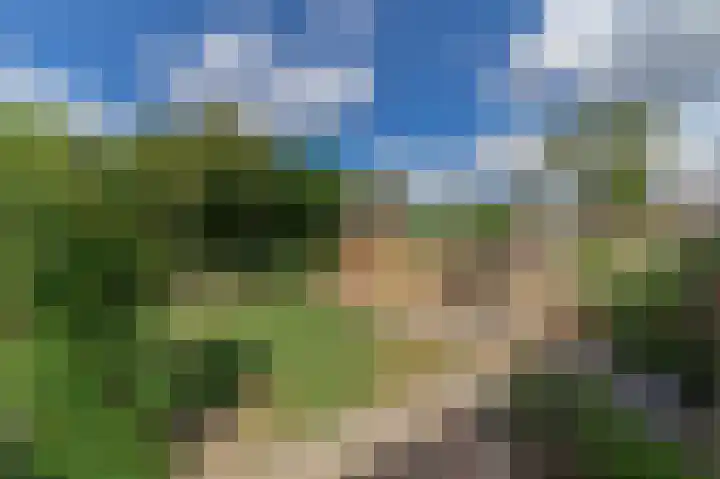 Baron van Hövelllaan 21 Melick thumbnail 18