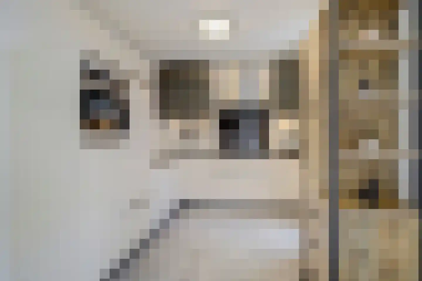 Baron van Hövelllaan 9 Melick thumbnail 15