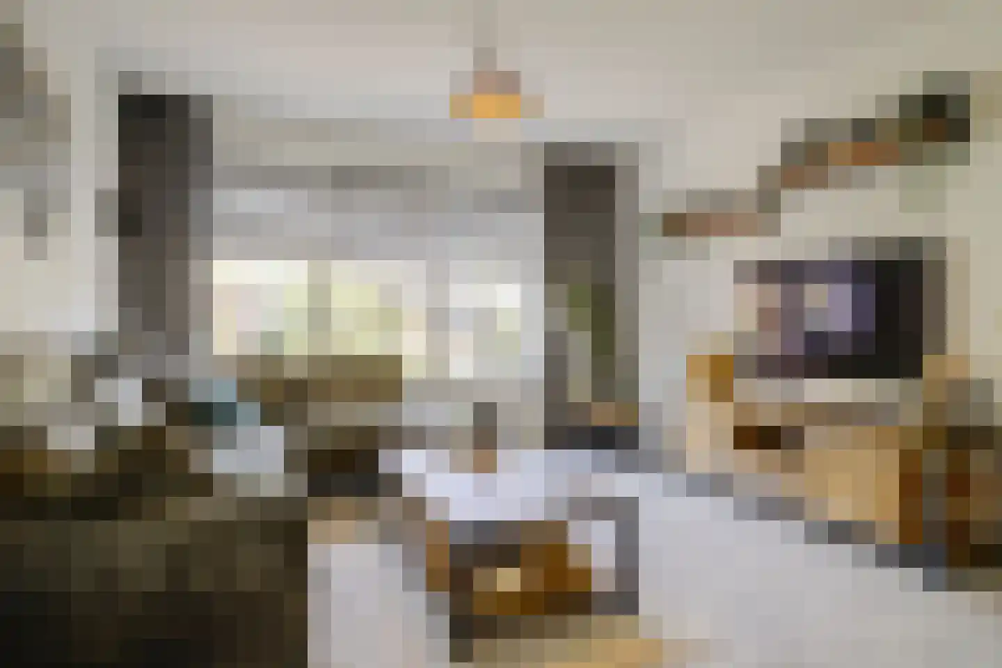 Baron van Hövelllaan 9 Melick thumbnail 4