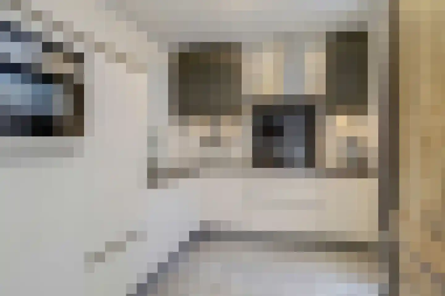 Baron van Hövelllaan 9 Melick thumbnail 5