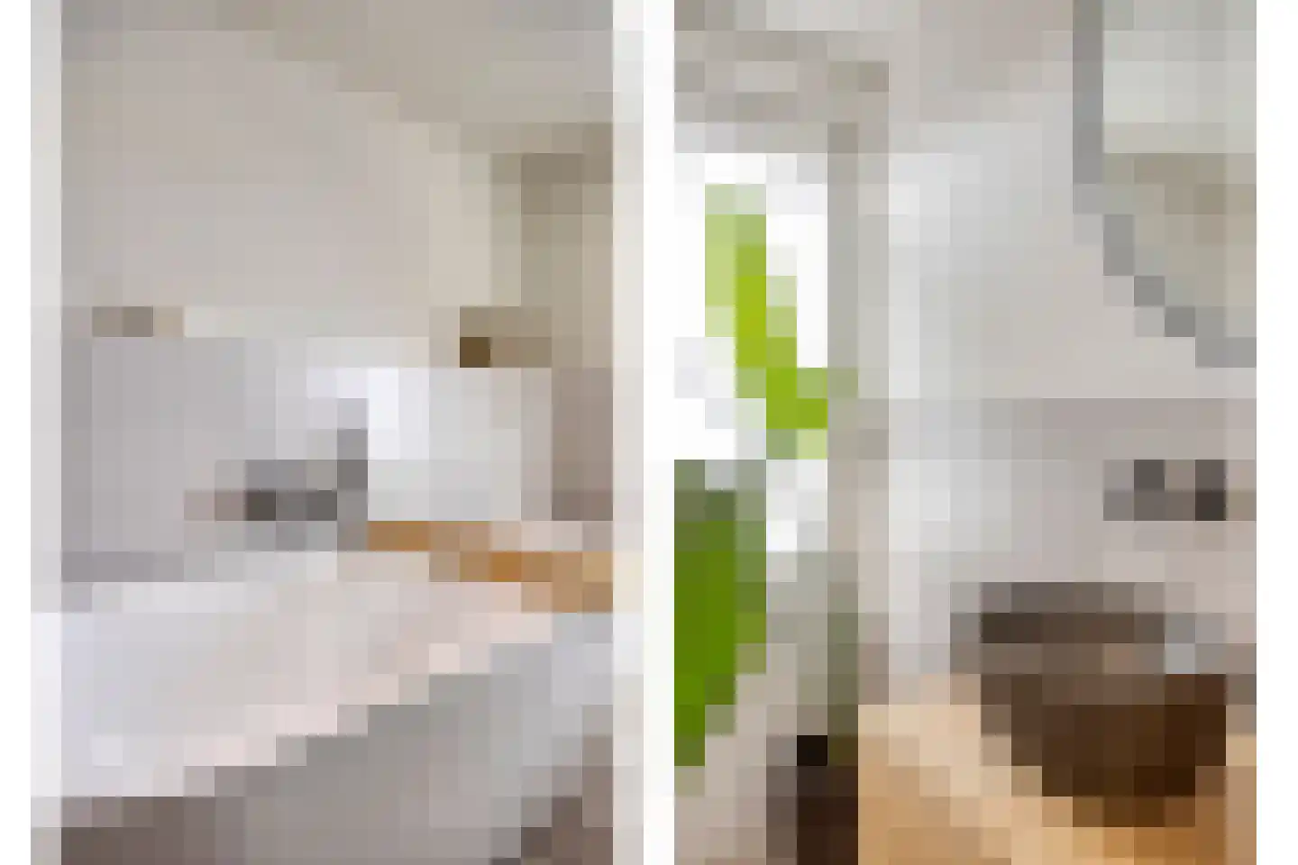 Baron van Hövellstraat 46 Maastricht thumbnail 21
