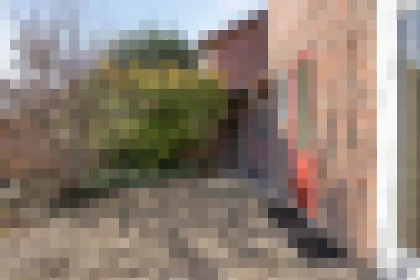 Baron van Hövellstraat 7 Maastricht thumbnail 31