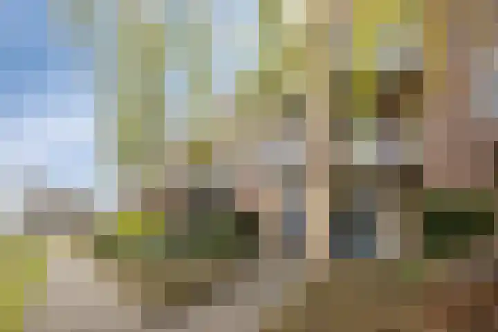 Baron van Leefdaelstraat 36 Beek en Donk thumbnail 5