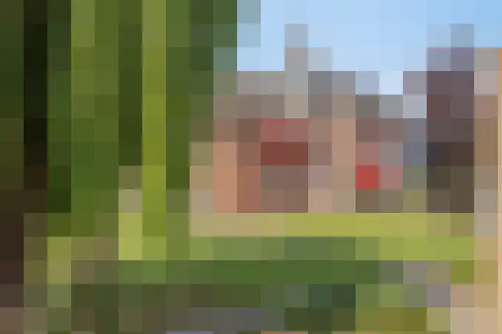 Baron van Leefdaelstraat 40 Beek en Donk thumbnail 32