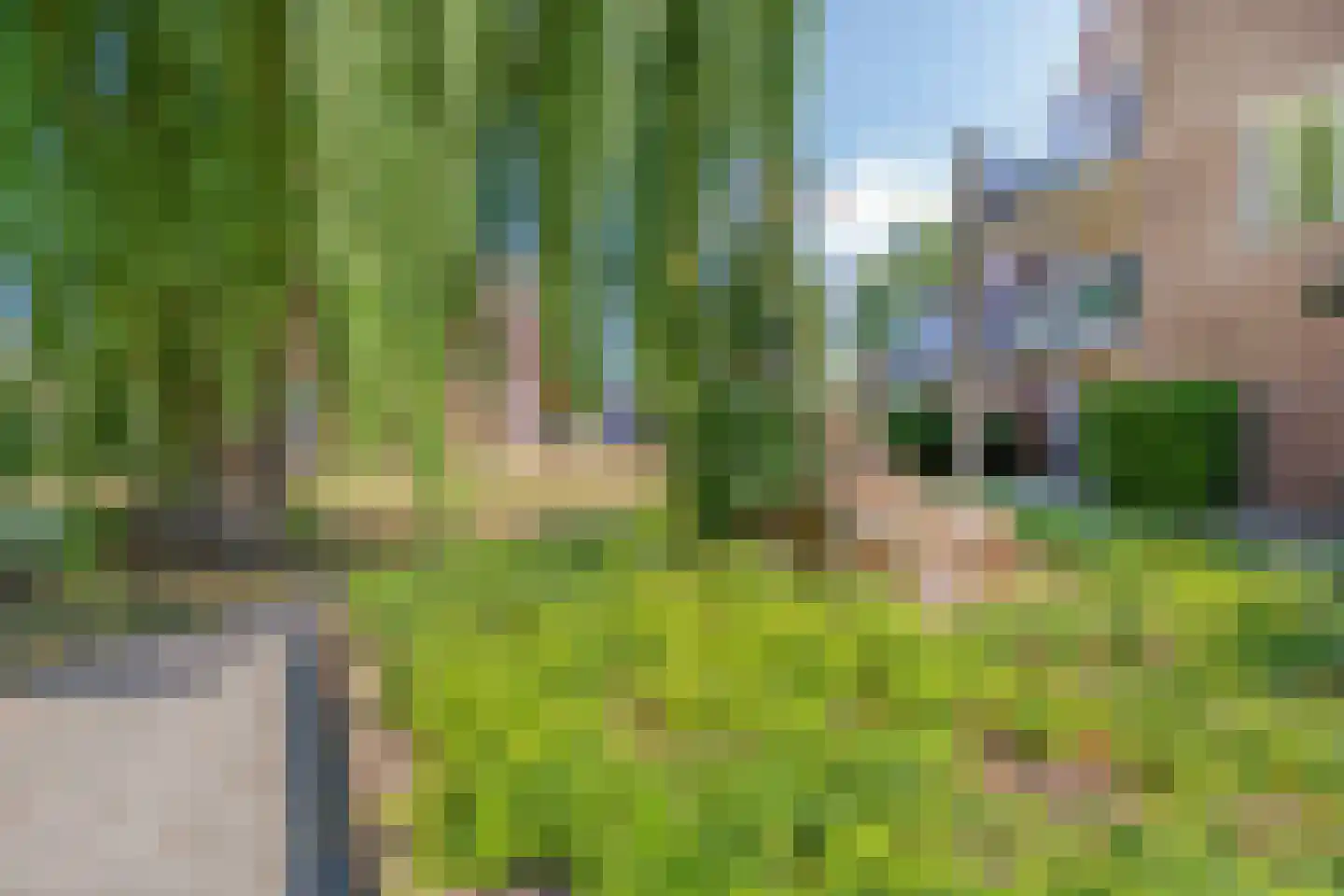 Baron van Leefdaelstraat 48 Beek en Donk thumbnail 8