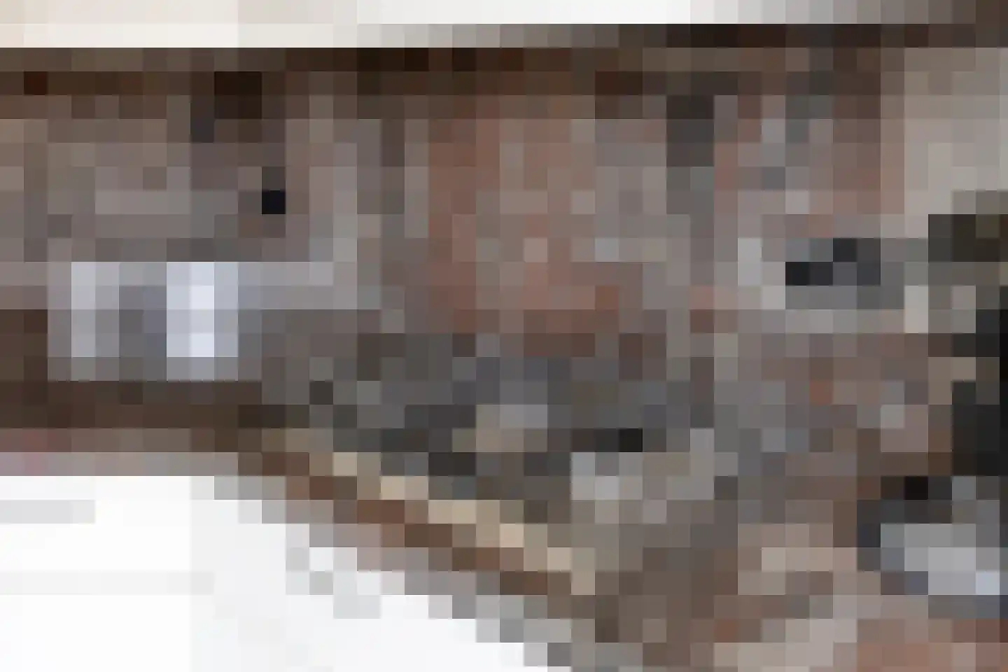Baron van Leefdaelstraat 66 Beek en Donk thumbnail 14
