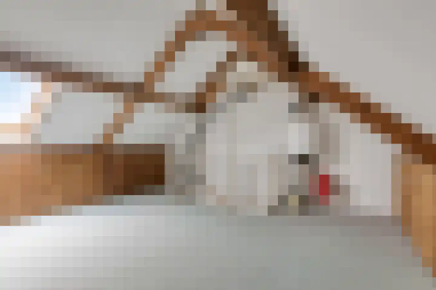 Baron van Leefdaelstraat 66 Beek en Donk thumbnail 30